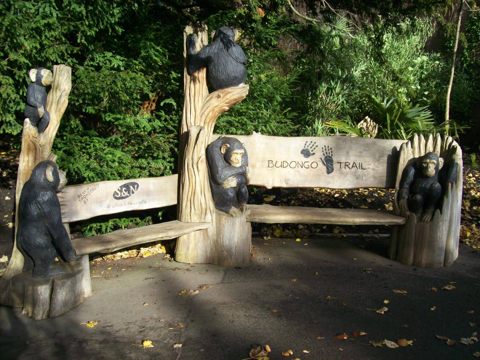 bench outside budongo trail