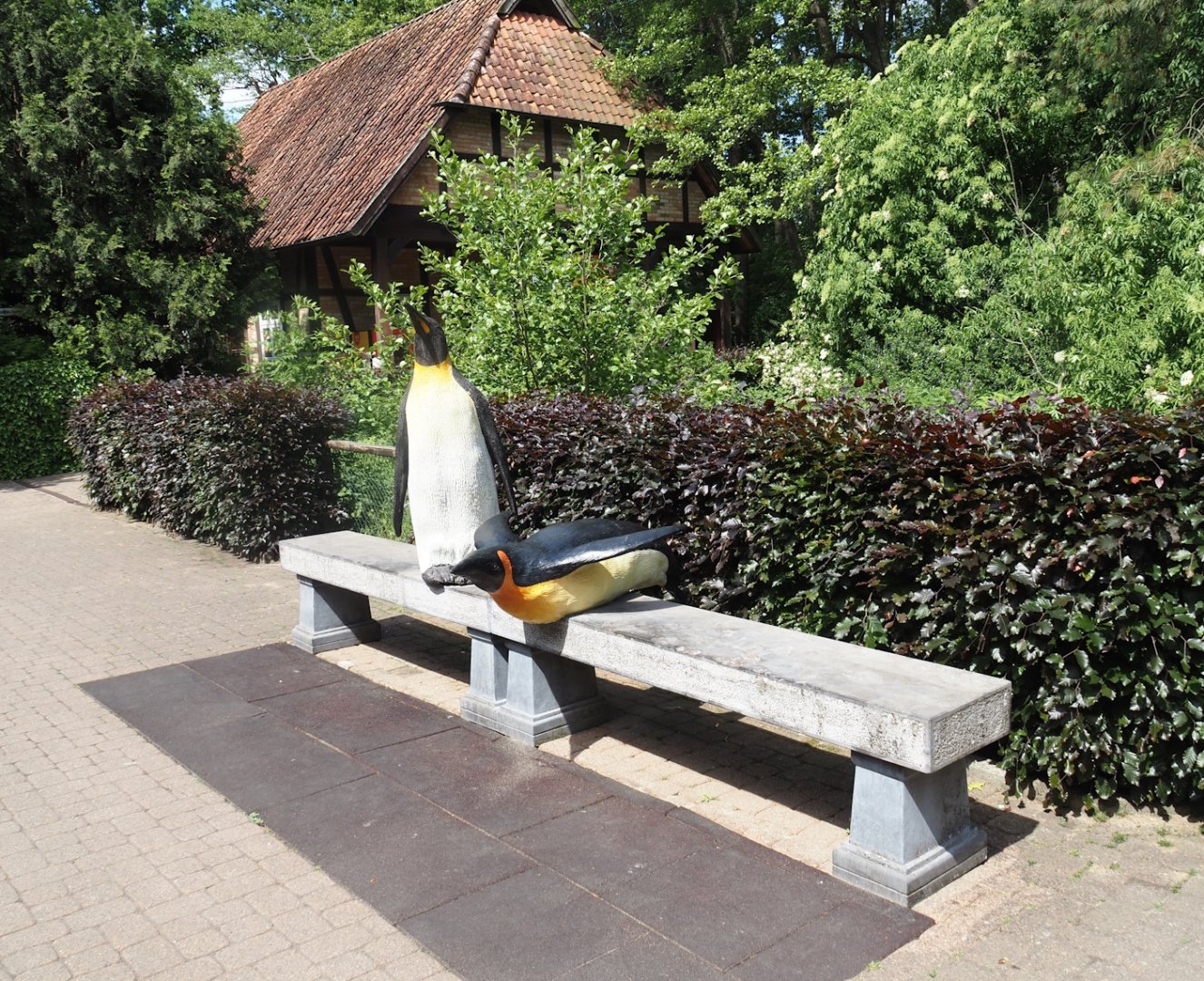 Bench with king penguin statues, 2024-05-21