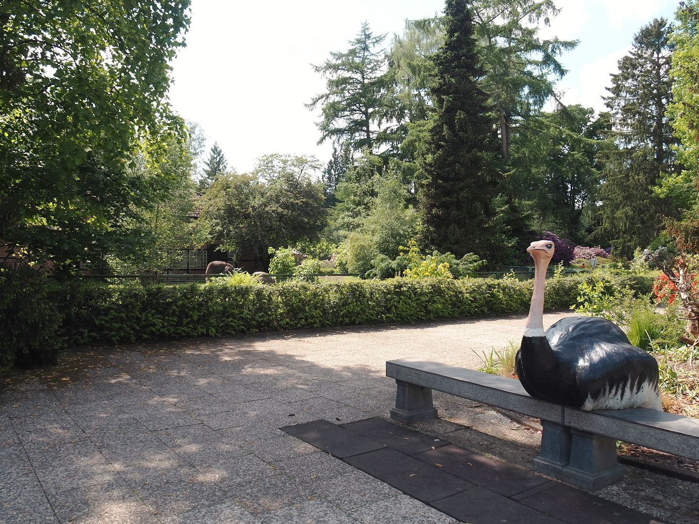Bench with ostrich statue and walkway with viewing area for Ostrich and Abyssinian ground hornbill paddock, 2024-05-23