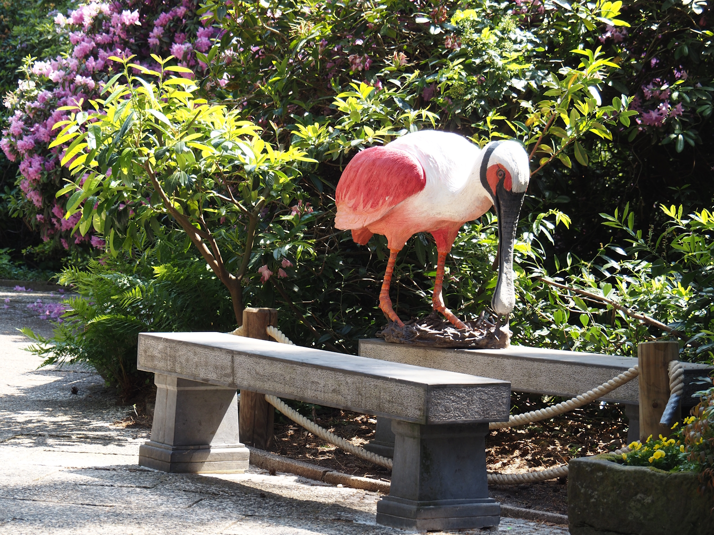 Bench with Roseate spoonbill statue, 2024-05-21