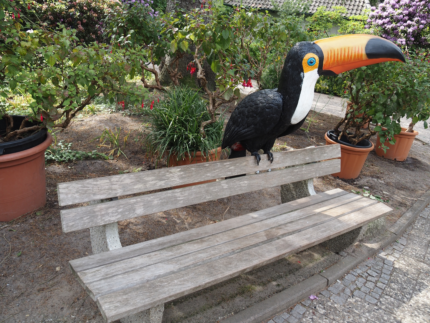 Bench with Toco toucan statue, 2024-05-21