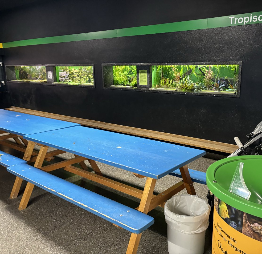 Benches which are a part of the “zoo school”
