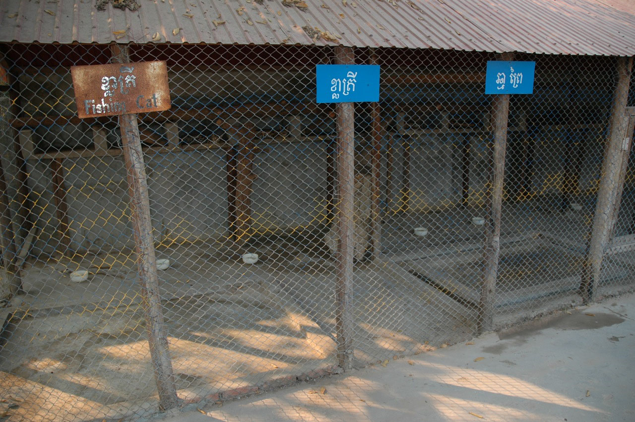 Bengal Cat cage, Angkor Zoo - 2005