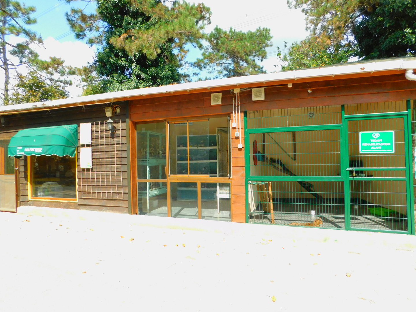 Bengal Cats and Pet Shop at Park of Istanbul