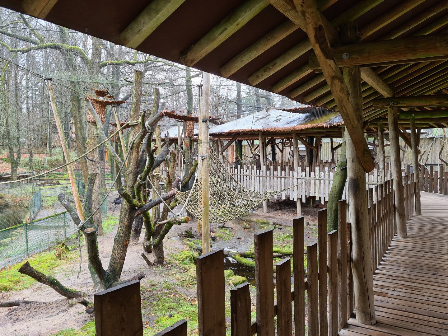 Bengal grey langur walkthrough exhibit
