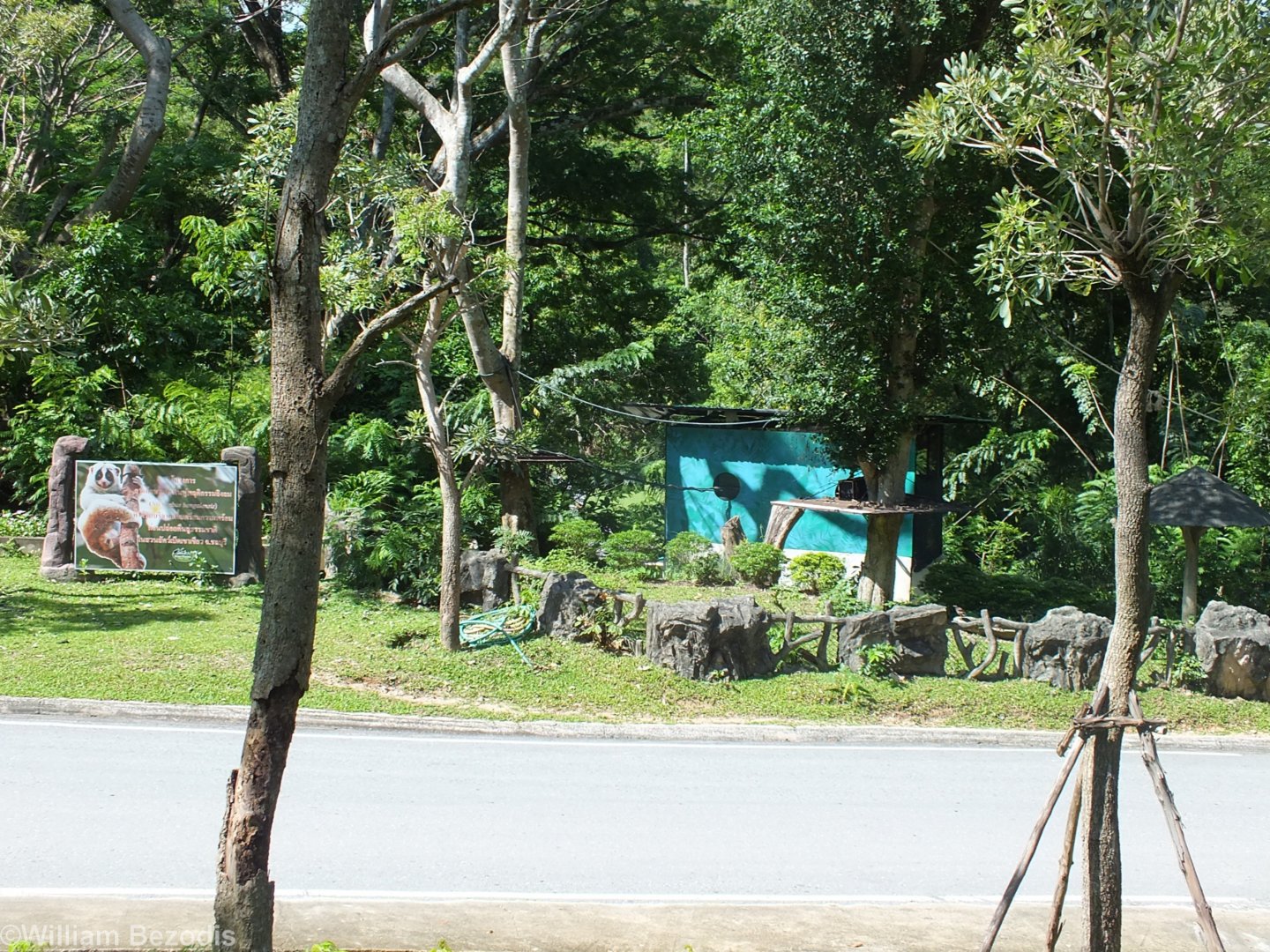 Bengal Slow Loris Enclosure