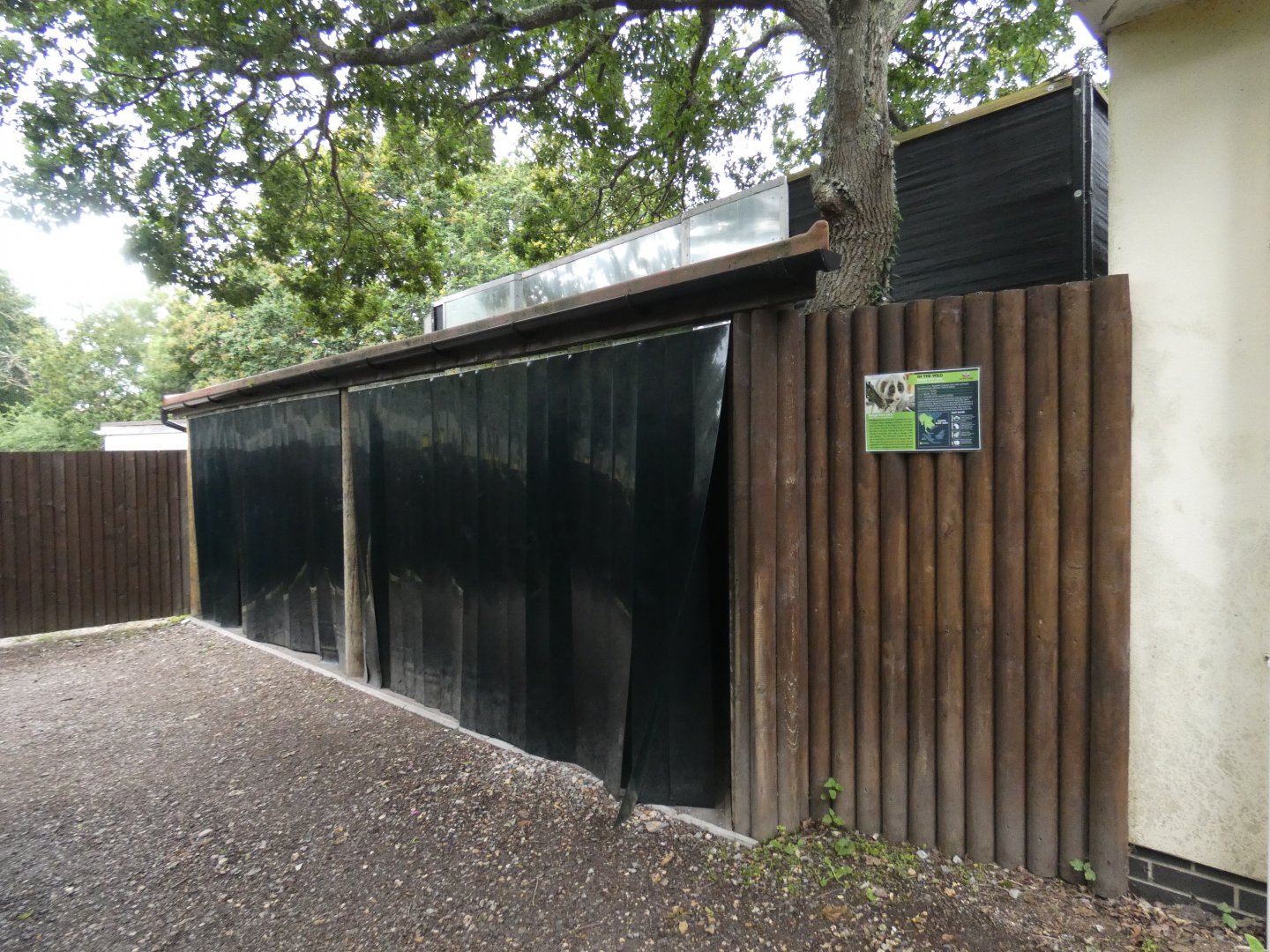 Bengal slow loris exhibit entrance