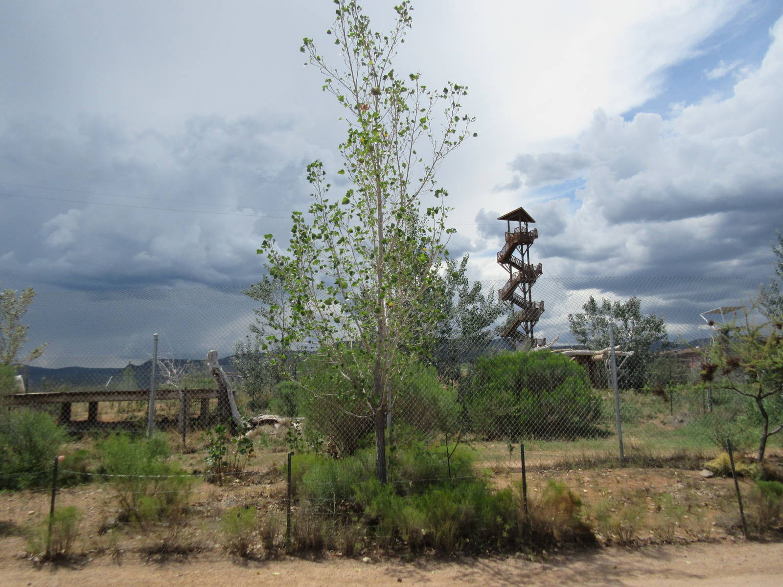 Bengal Tiger/African Lion/Black African Leopard Exhibit