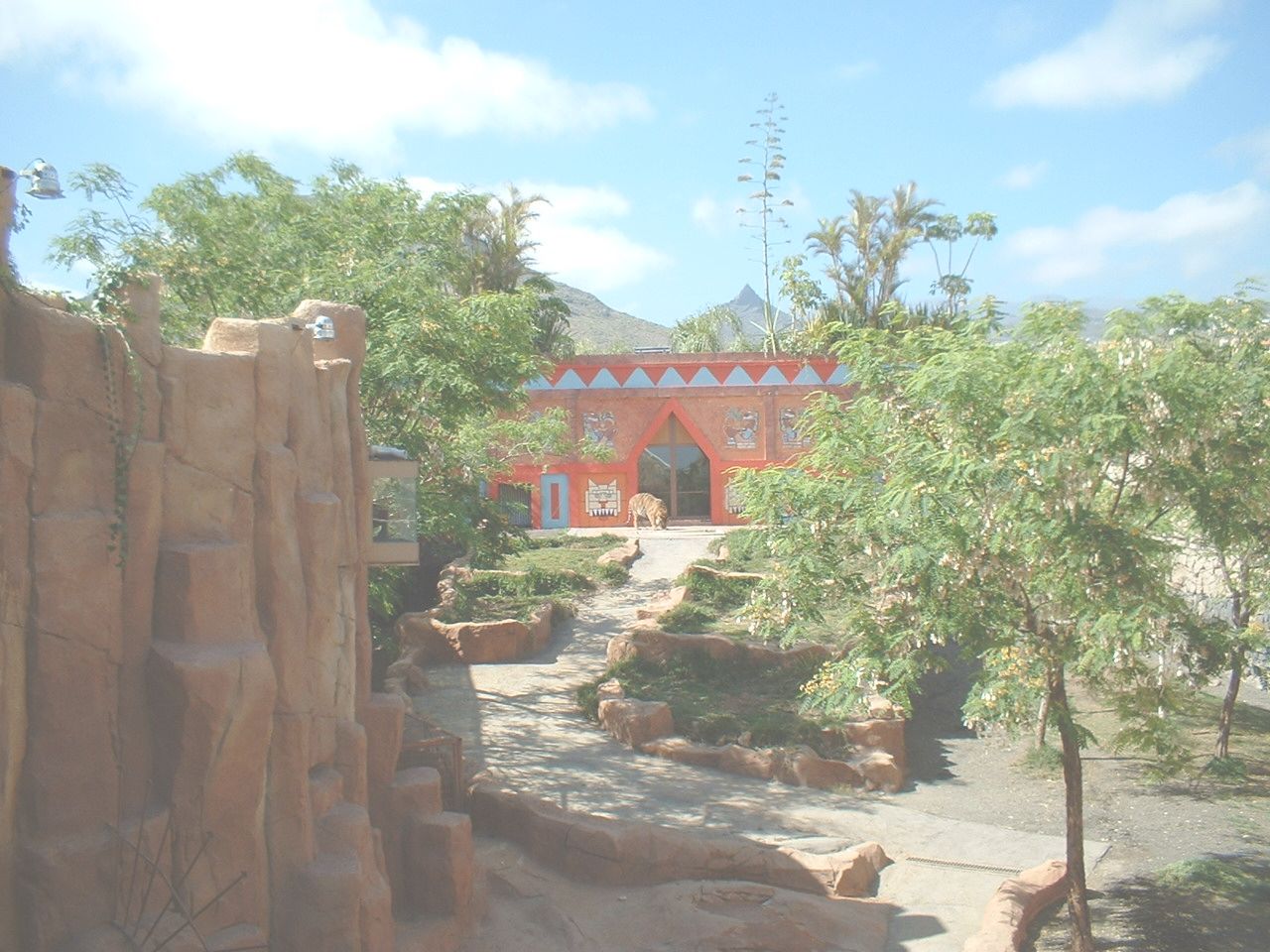 Bengal Tiger enclosure at Aguilas Jungle Park in Tenerife, 19 May 2004