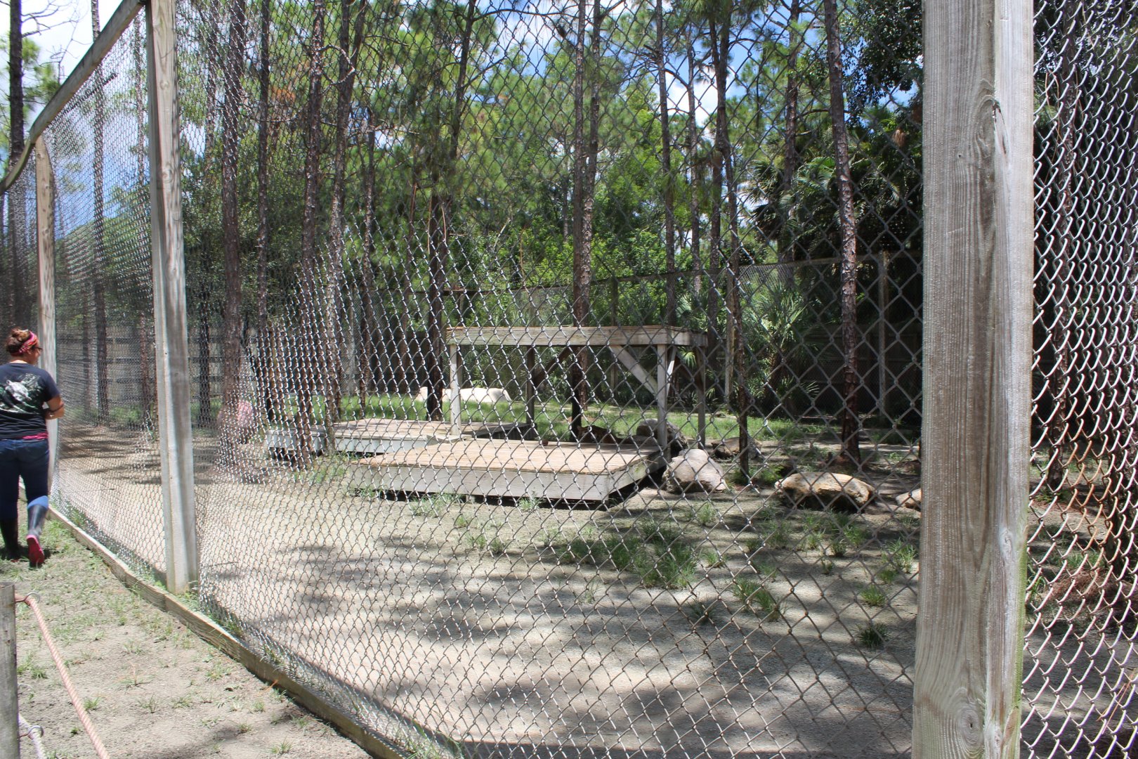 Bengal Tiger Enclosure - Mccarthy Wildlife Sanctuary