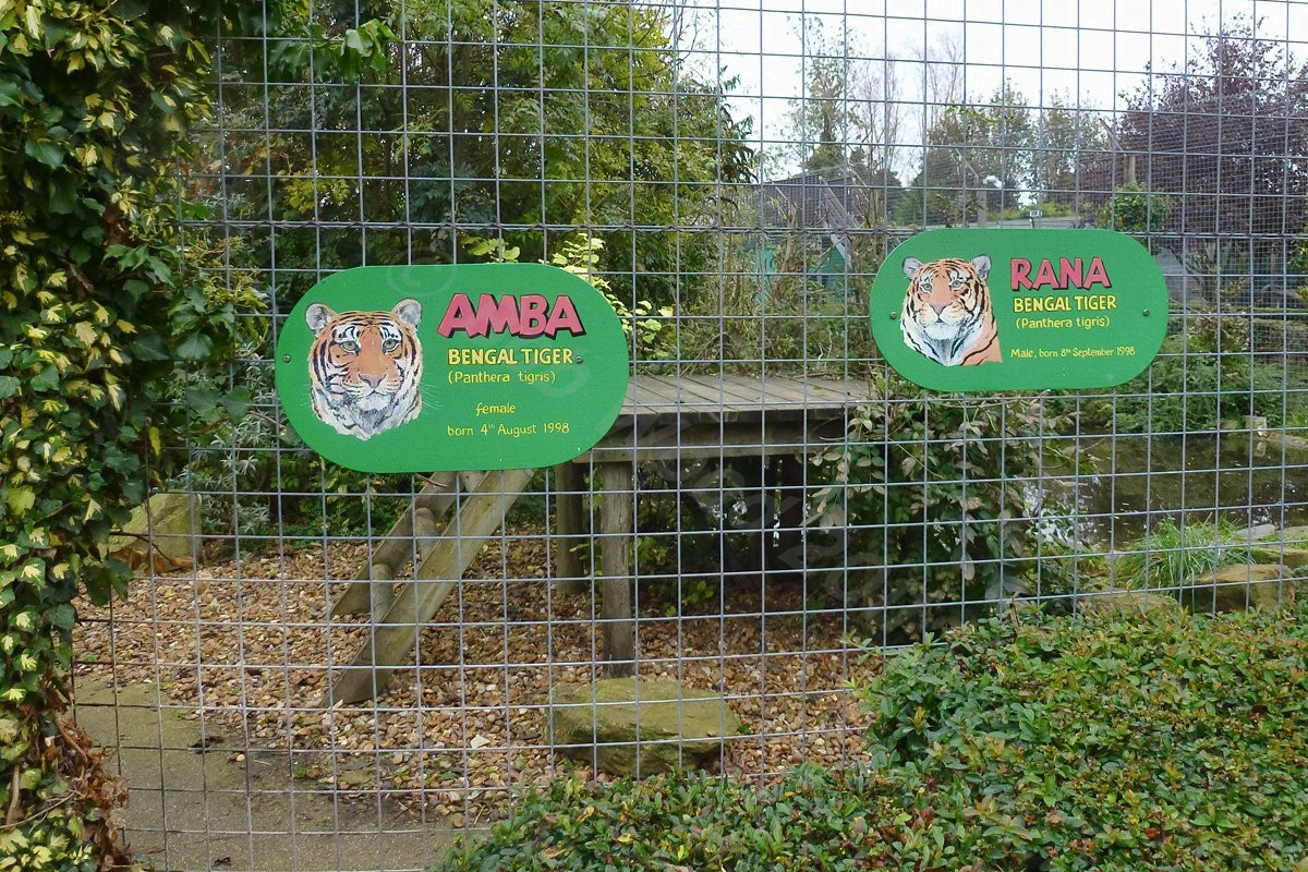 Bengal Tiger enclosure