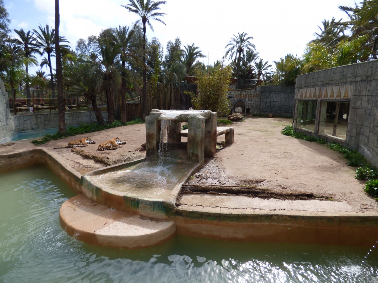 "Bengal" Tiger Enclosure