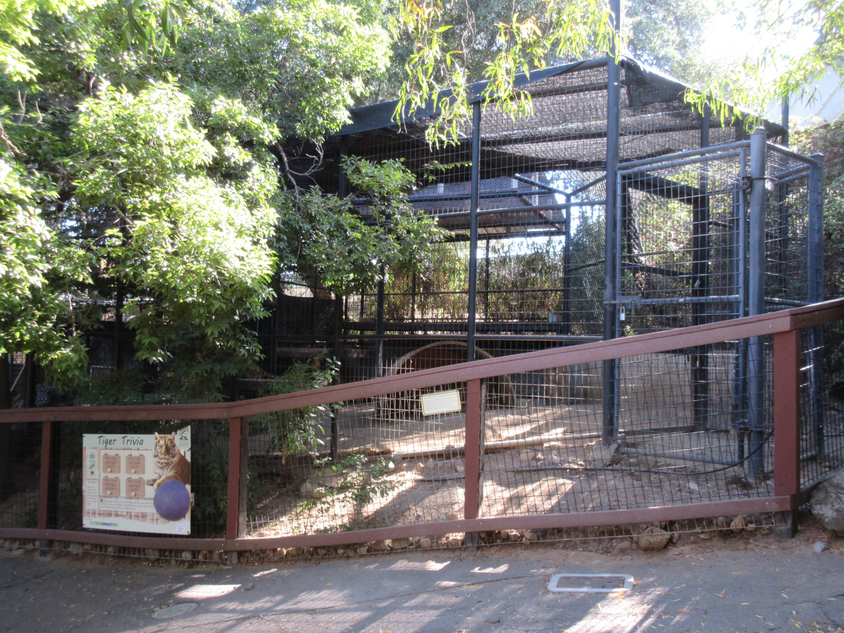Bengal Tiger Exhibit #1