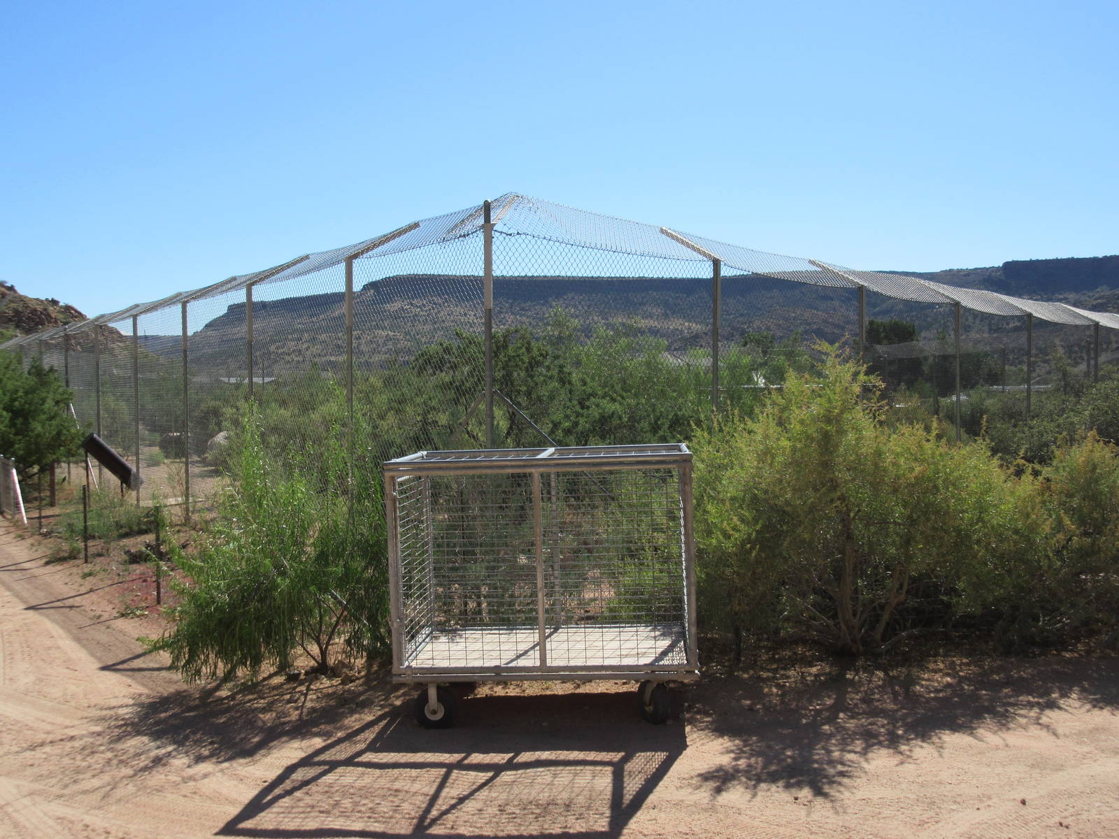 Bengal Tiger Exhibit (and one of several transport cages)