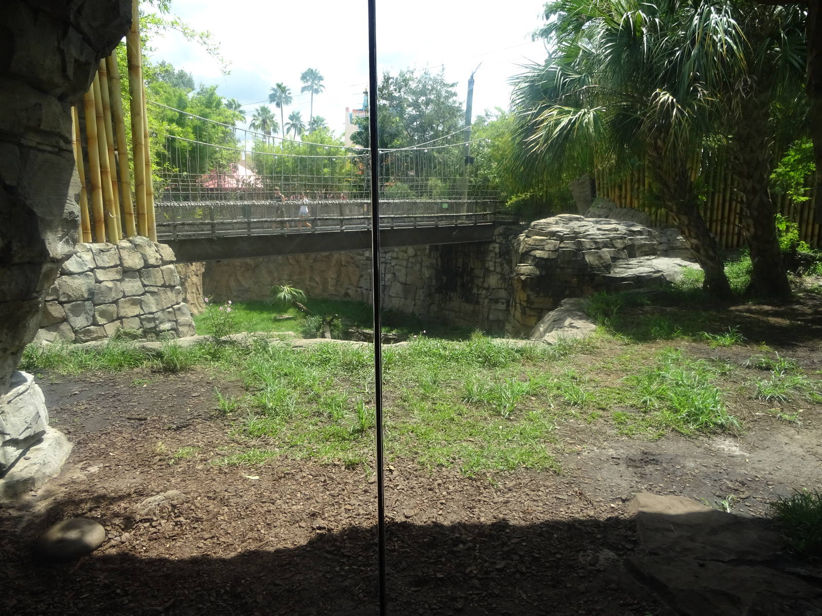 Bengal Tiger Exhibit at Busch Gardens Tampa