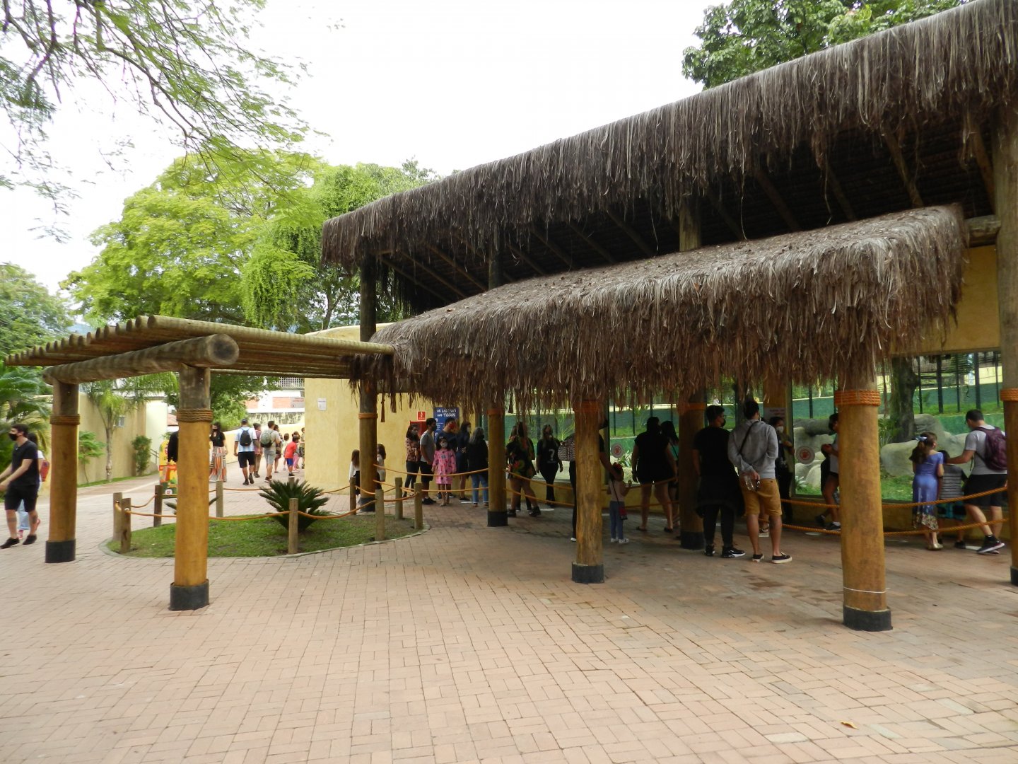 Bengal tiger exhibit - BioParque do Rio