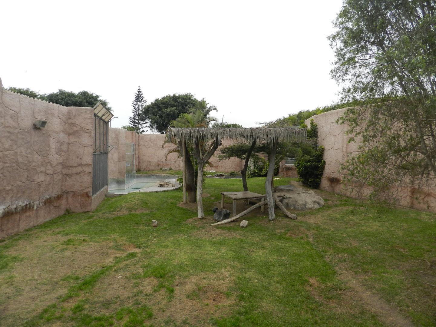 Bengal tiger exhibit I - Parque de Las Leyendas
