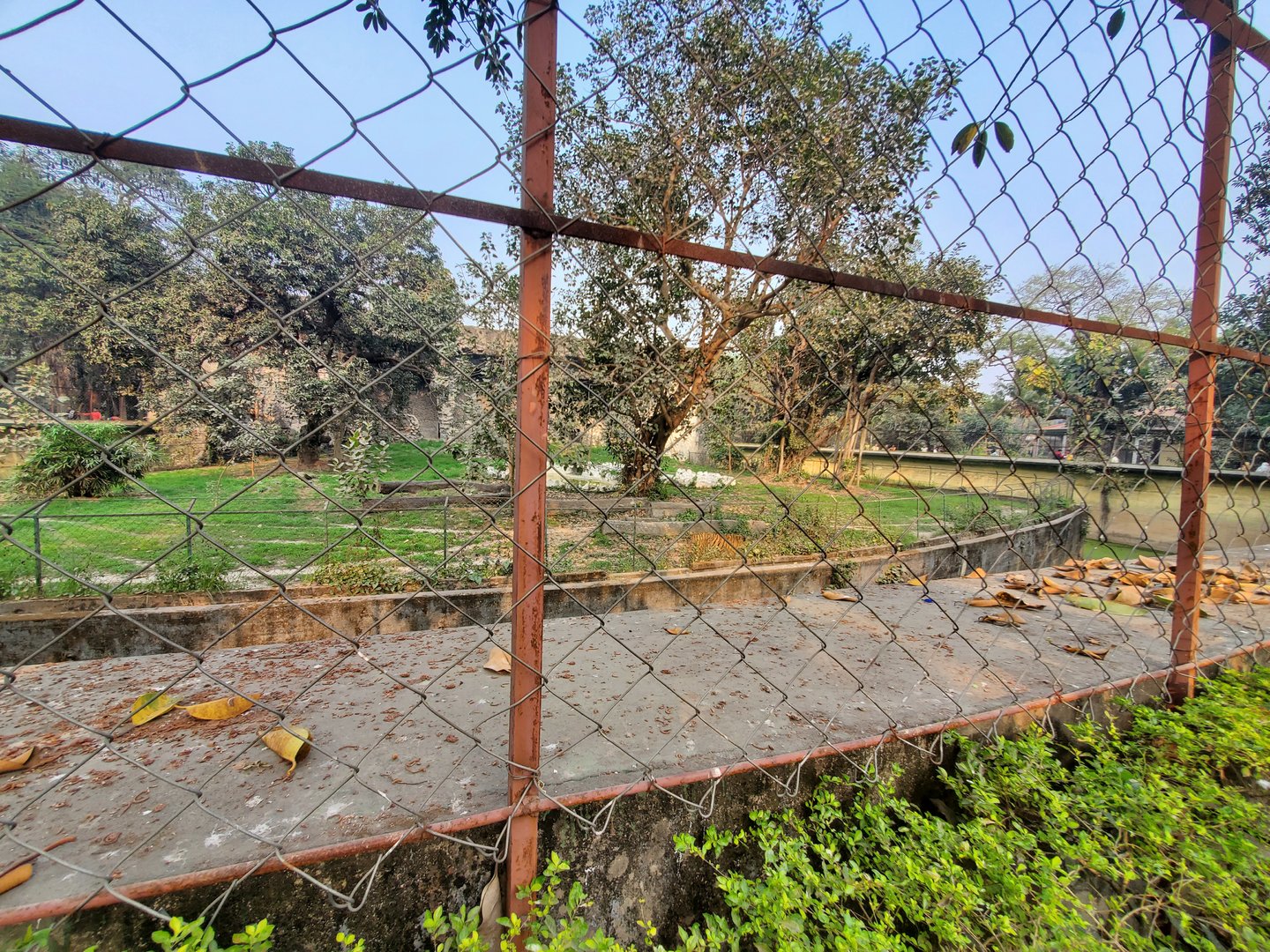 Bengal Tiger Exhibit - January 2023