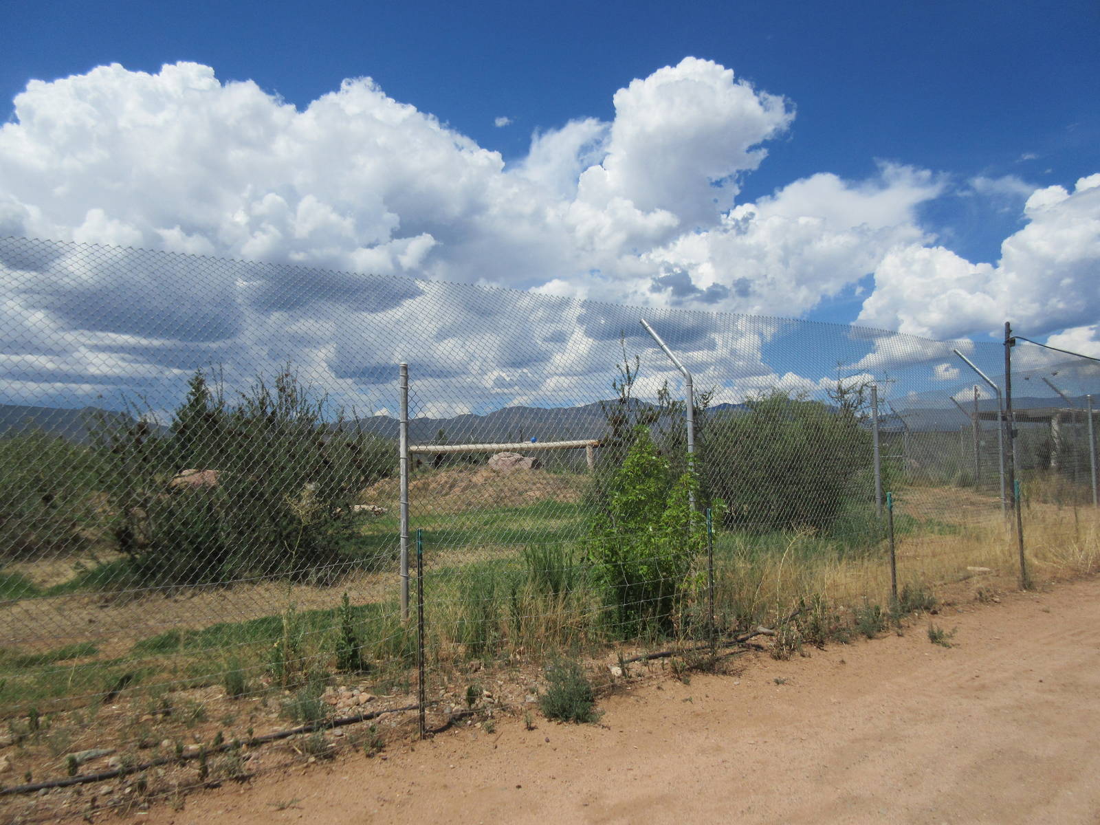 Bengal Tiger Exhibit (one of many enclosures for tigers)