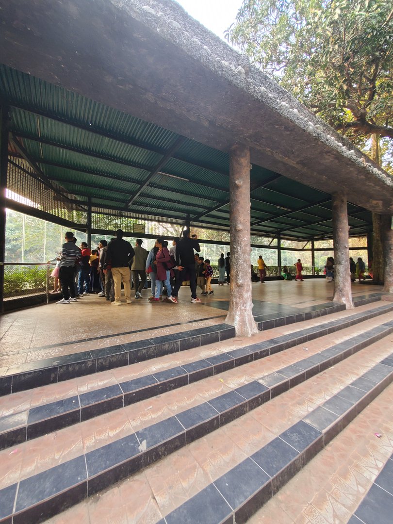 Bengal Tiger Exhibit Viewing Area - January 2023