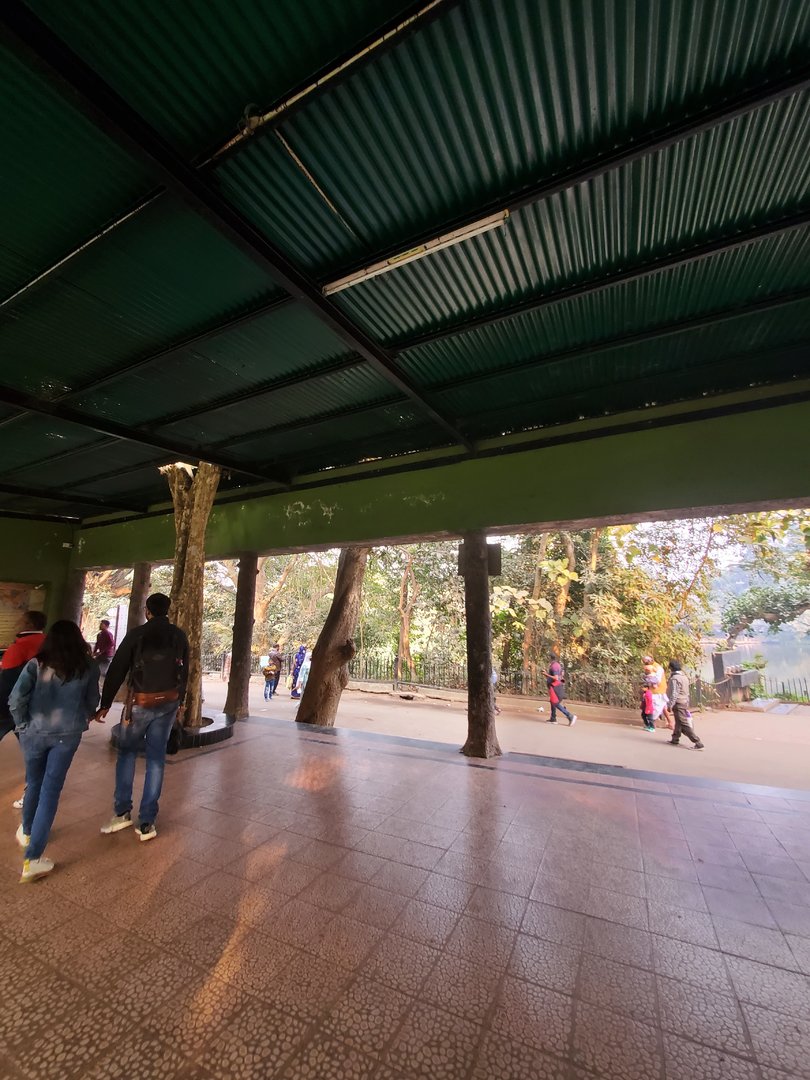 Bengal Tiger Exhibit Viewing Area - January 2023