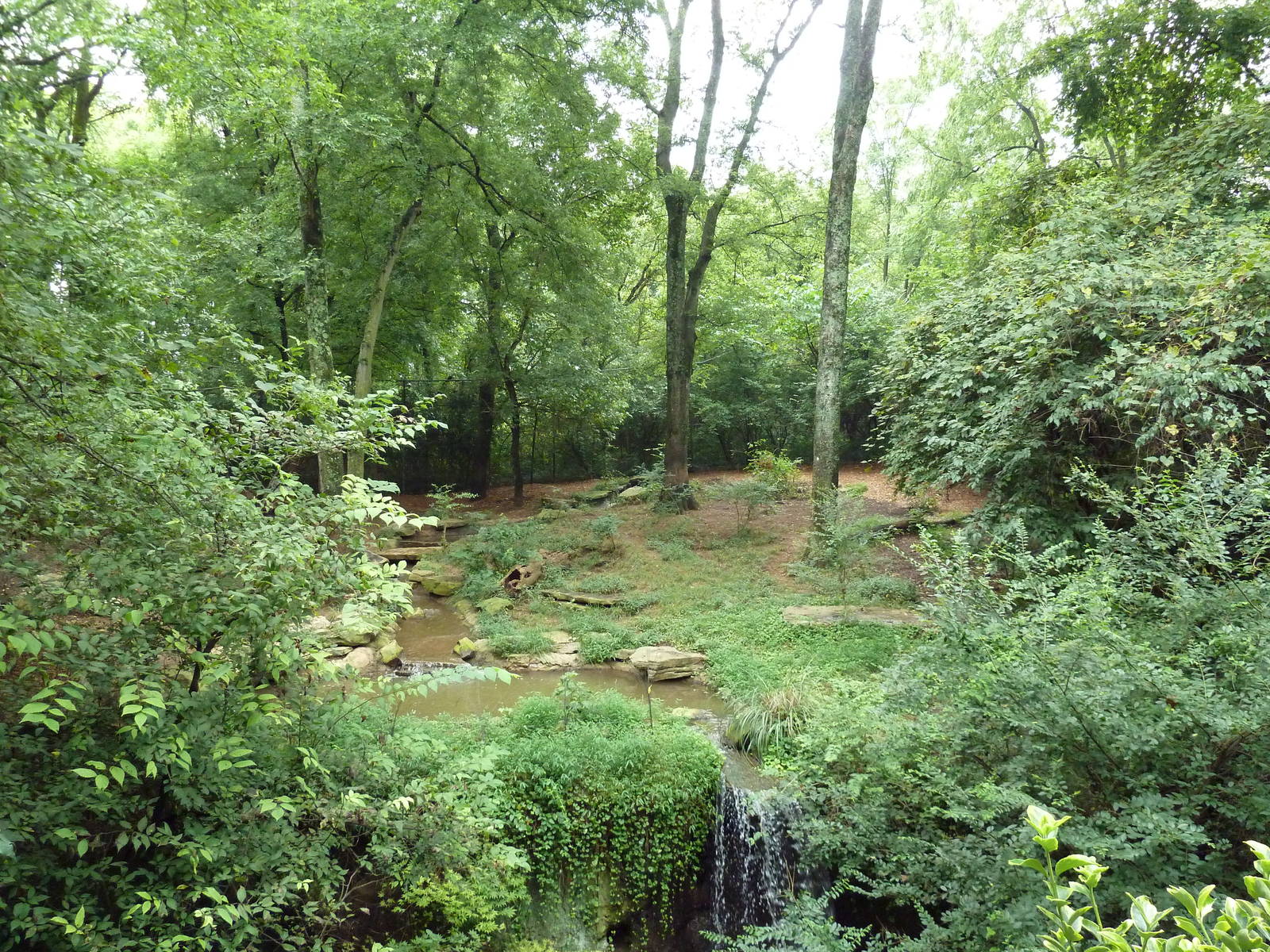 Bengal Tiger Exhibit