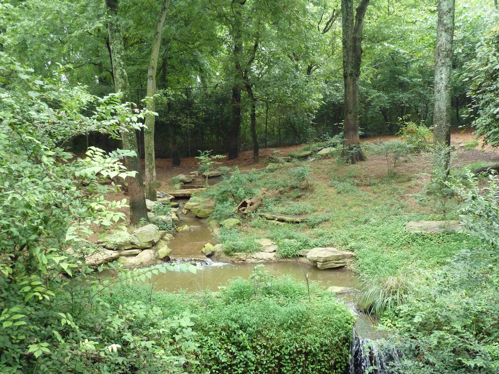 Bengal Tiger Exhibit