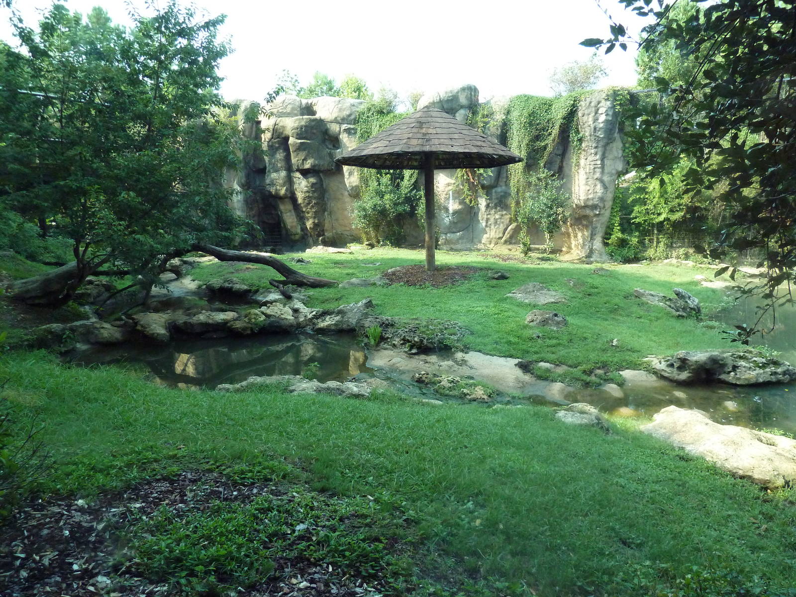 Bengal Tiger Exhibit