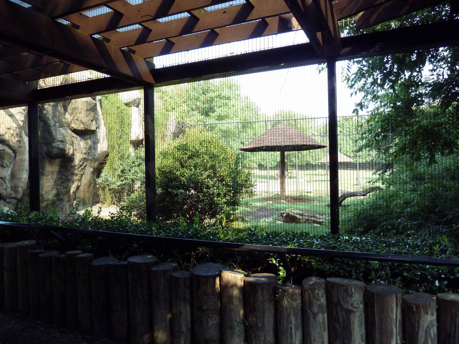 Bengal Tiger Exhibit