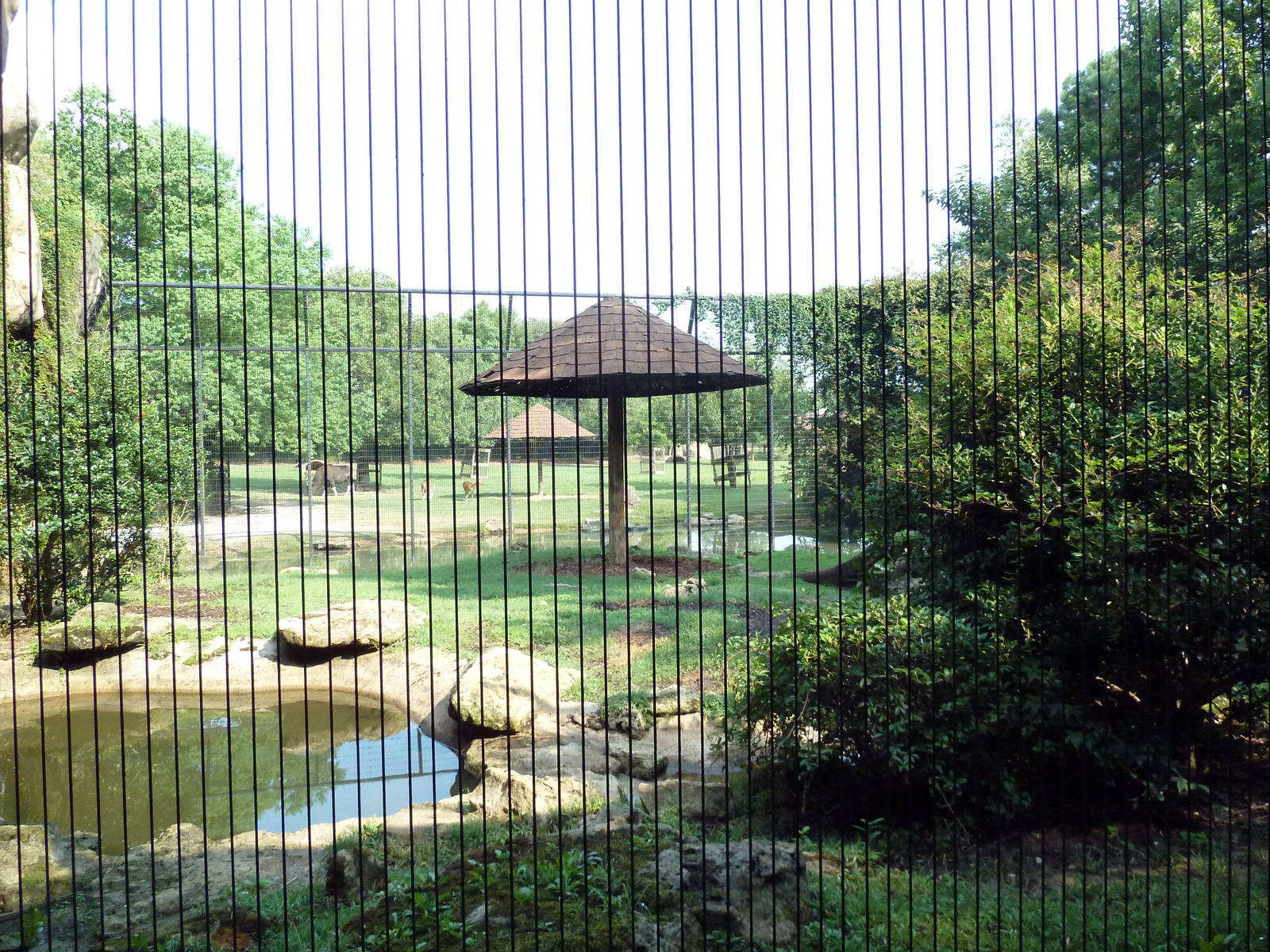 Bengal Tiger Exhibit