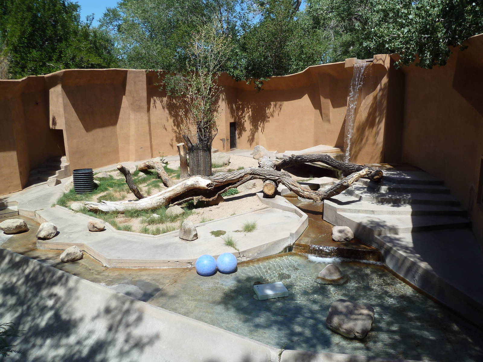 Bengal Tiger Exhibit
