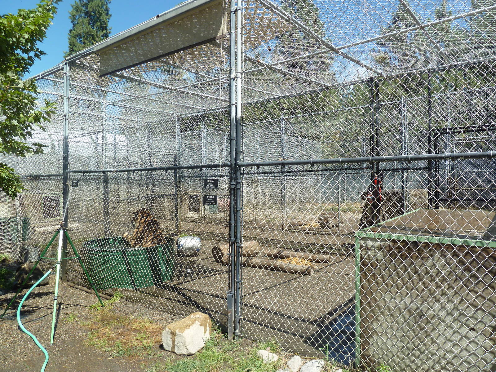 Bengal Tiger Exhibit