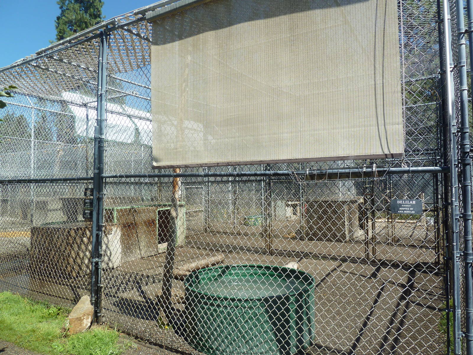 Bengal Tiger Exhibit