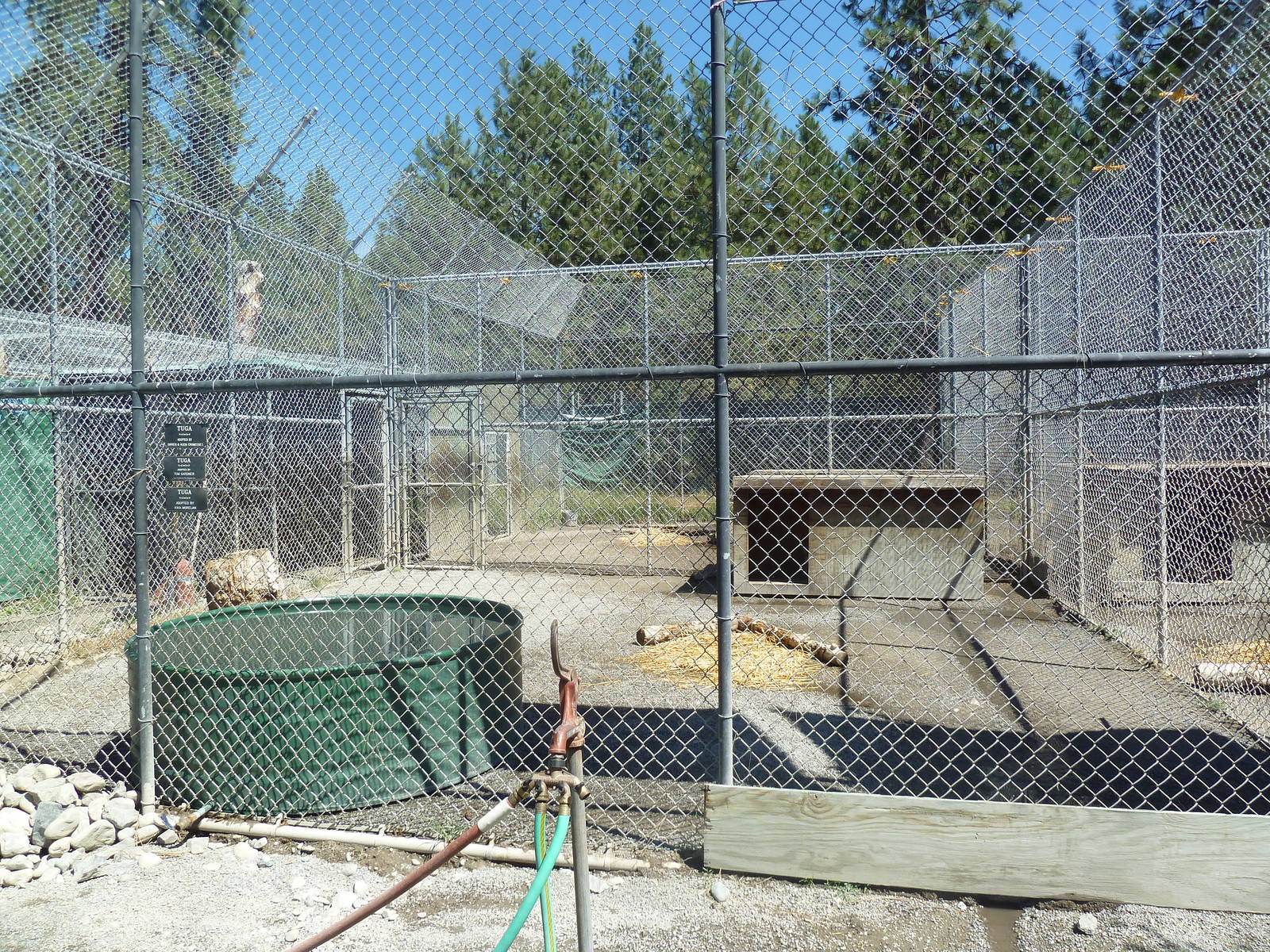 Bengal Tiger Exhibit