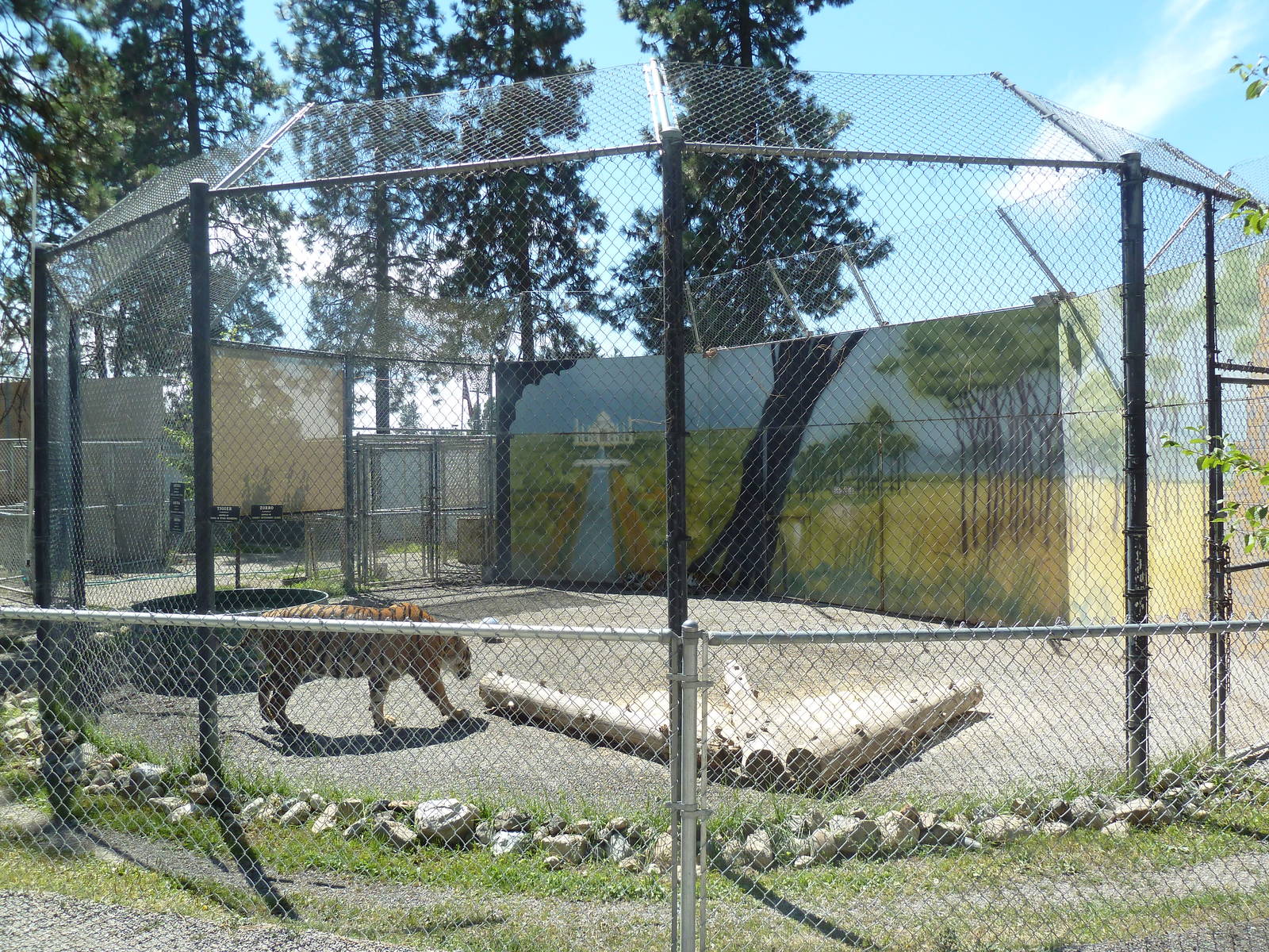 Bengal Tiger Exhibit