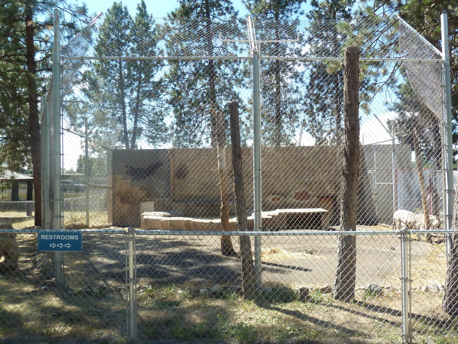 Bengal Tiger Exhibit