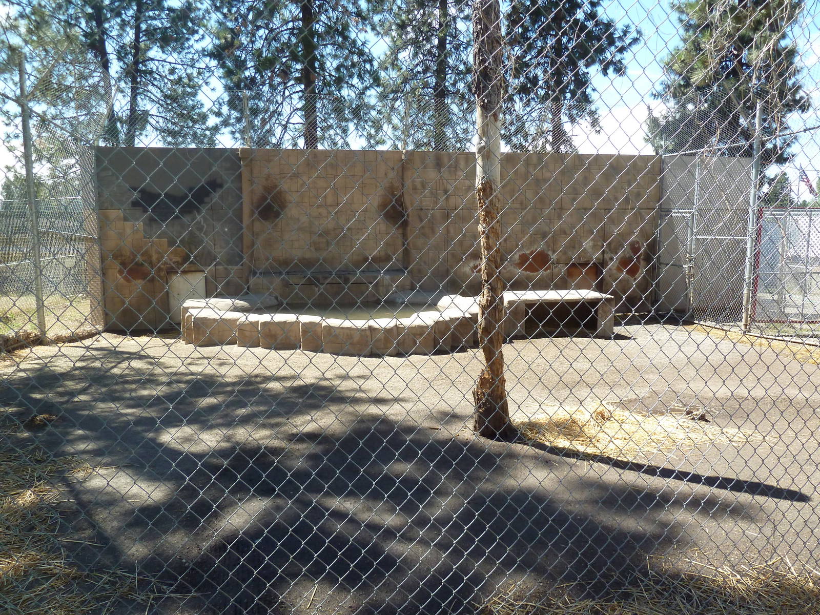Bengal Tiger Exhibit