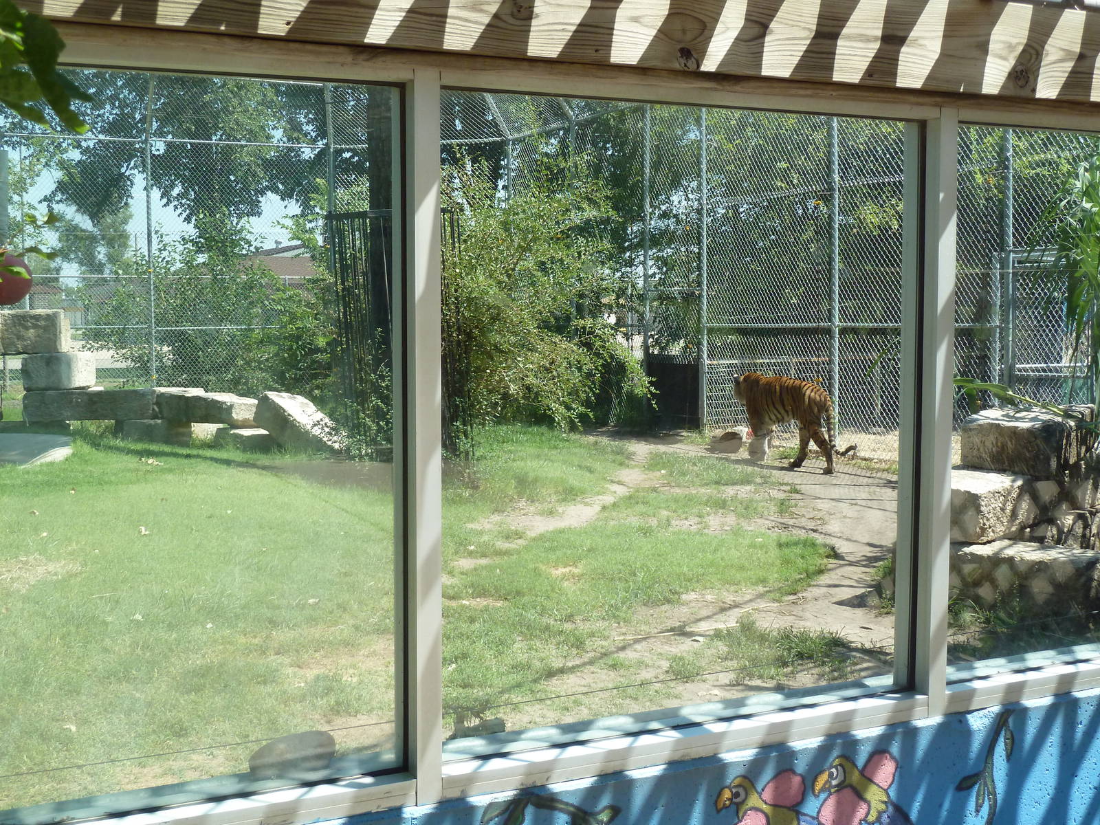 Bengal Tiger Exhibit