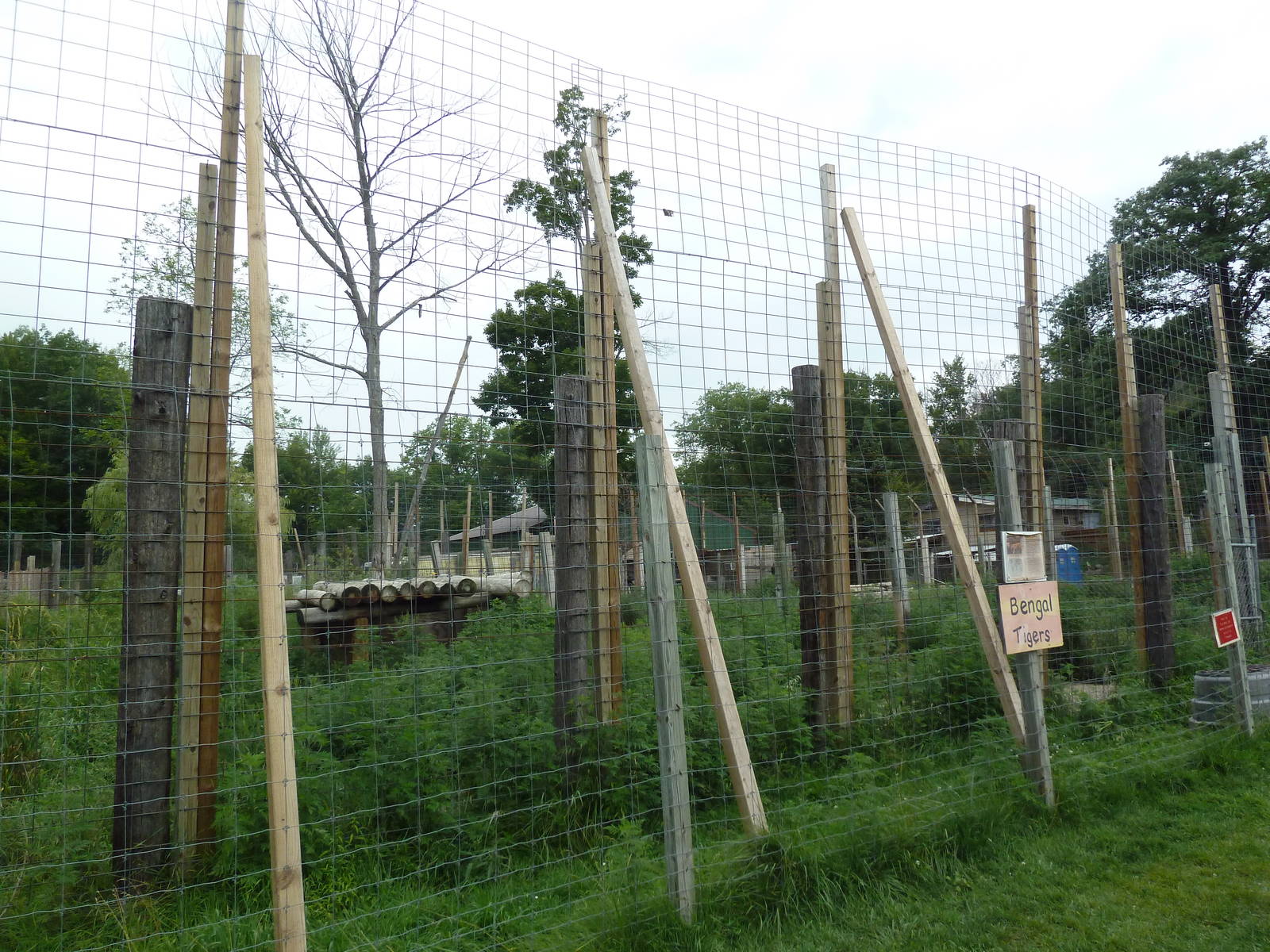 Bengal Tiger Exhibit