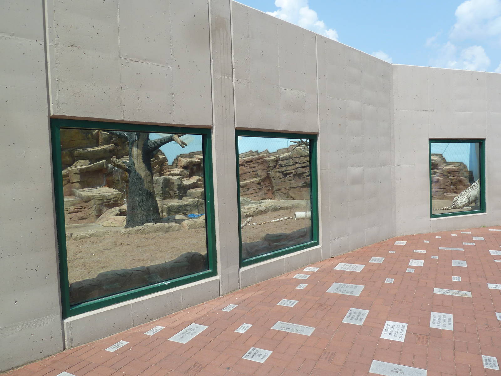 Bengal Tiger Exhibit