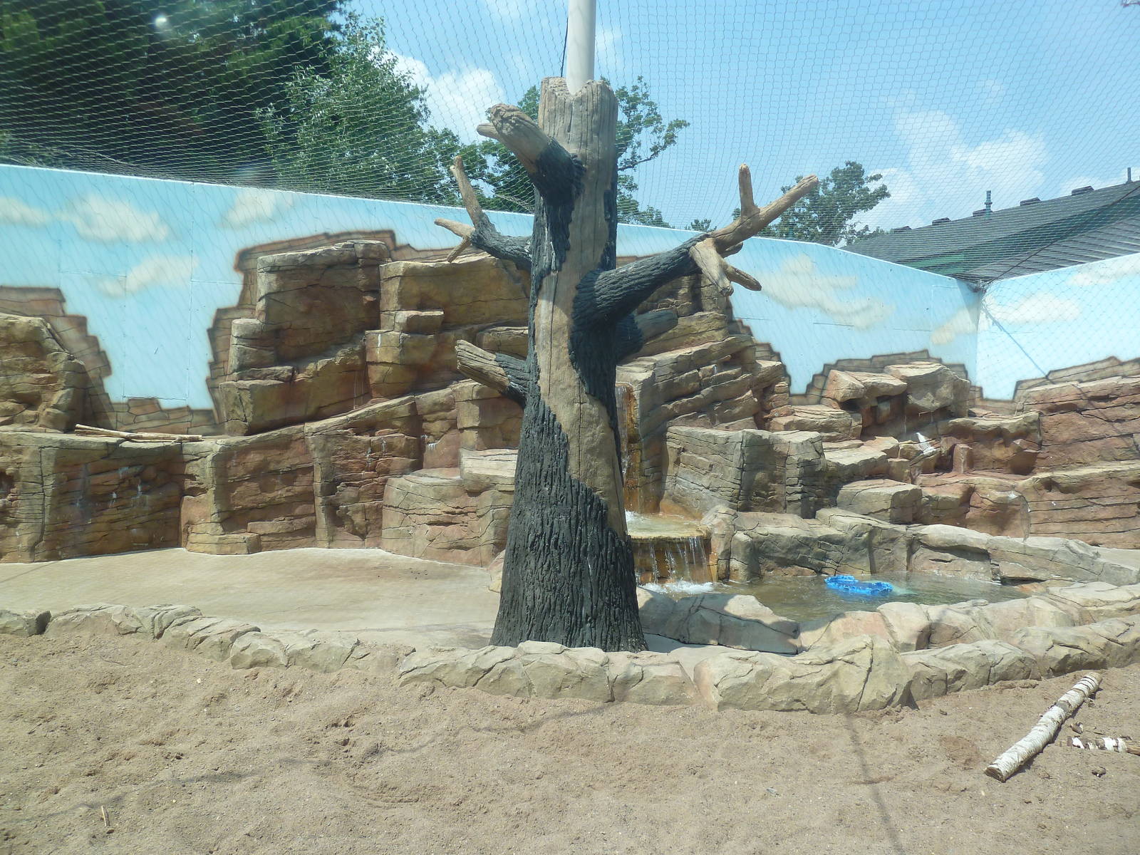 Bengal Tiger Exhibit