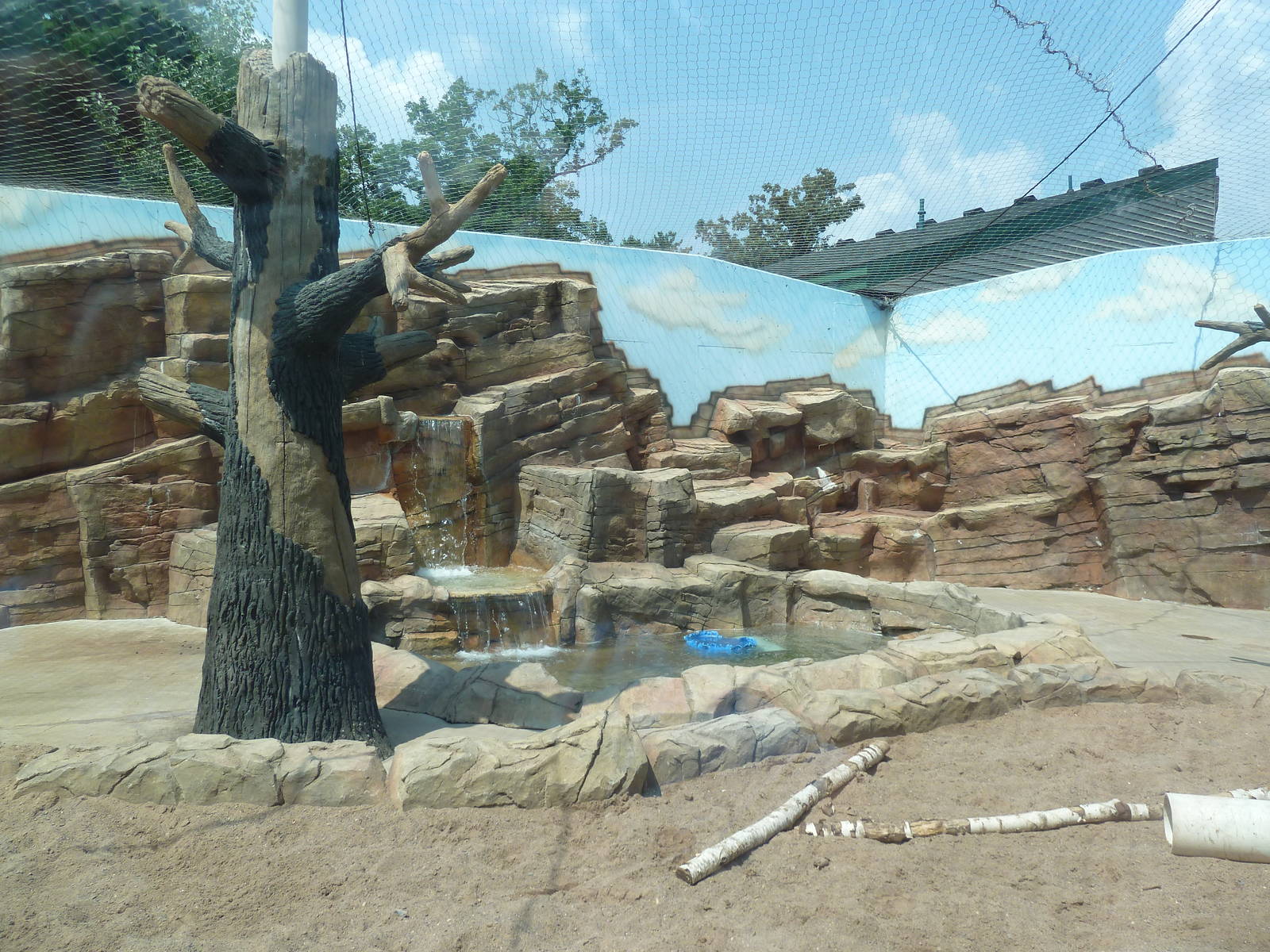 Bengal Tiger Exhibit