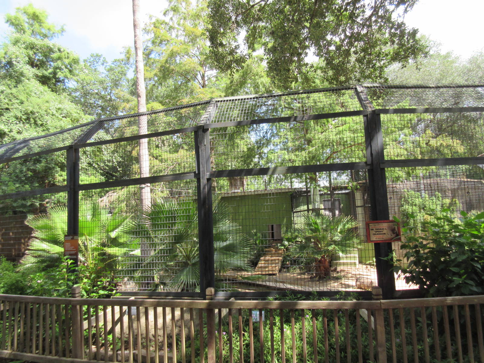 Bengal Tiger Exhibit