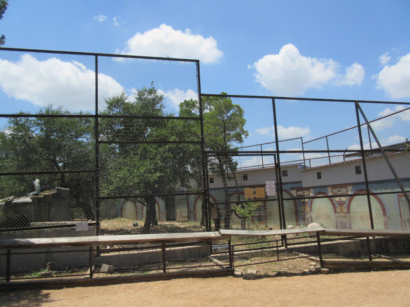 Bengal Tiger Exhibit