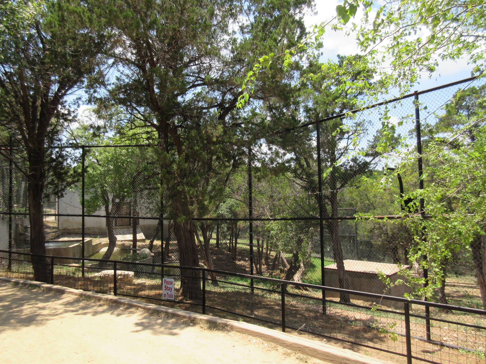 Bengal Tiger Exhibit