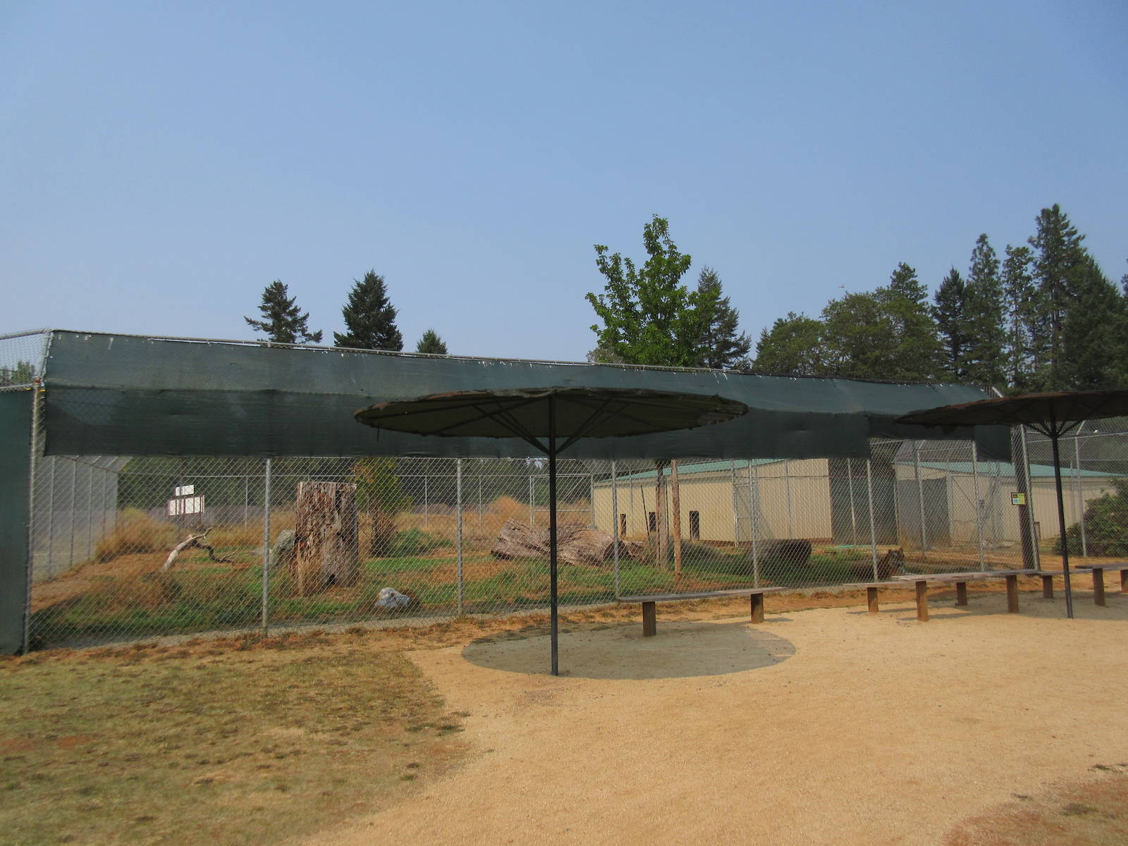 Bengal Tiger Exhibit