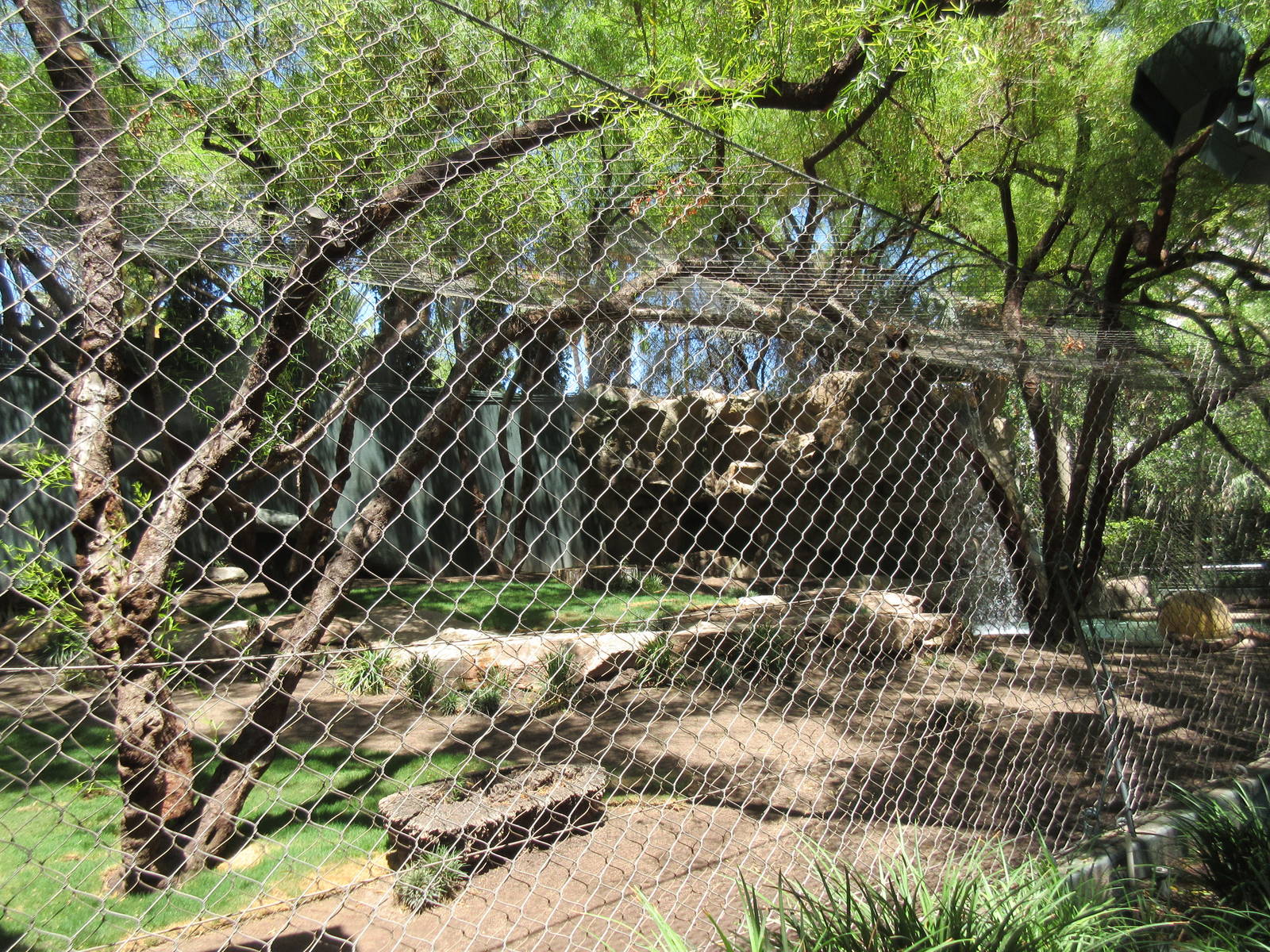 Bengal Tiger Exhibit