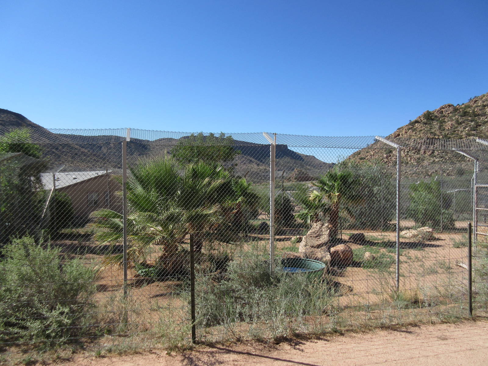 Bengal Tiger Exhibit