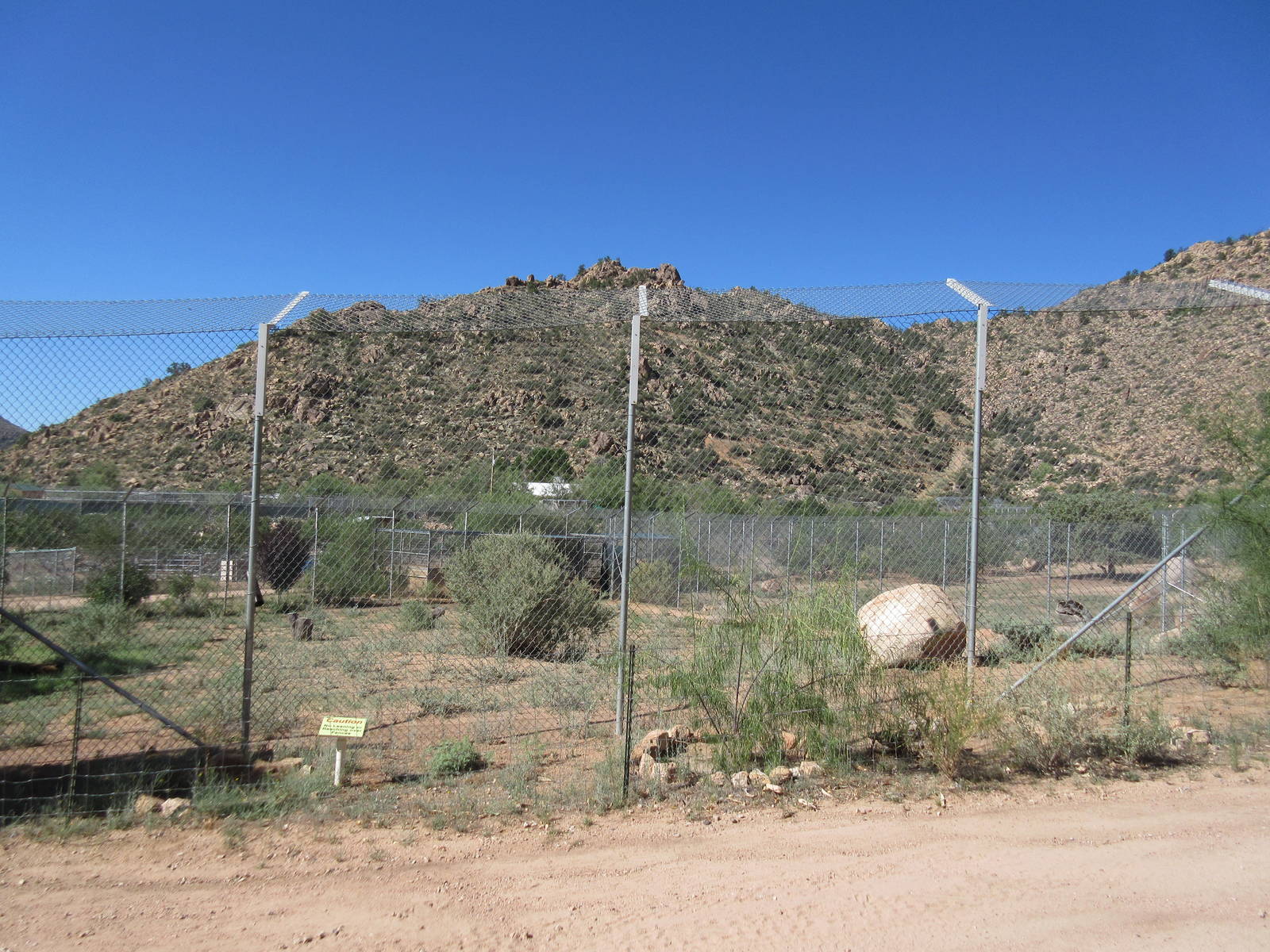 Bengal Tiger Exhibit