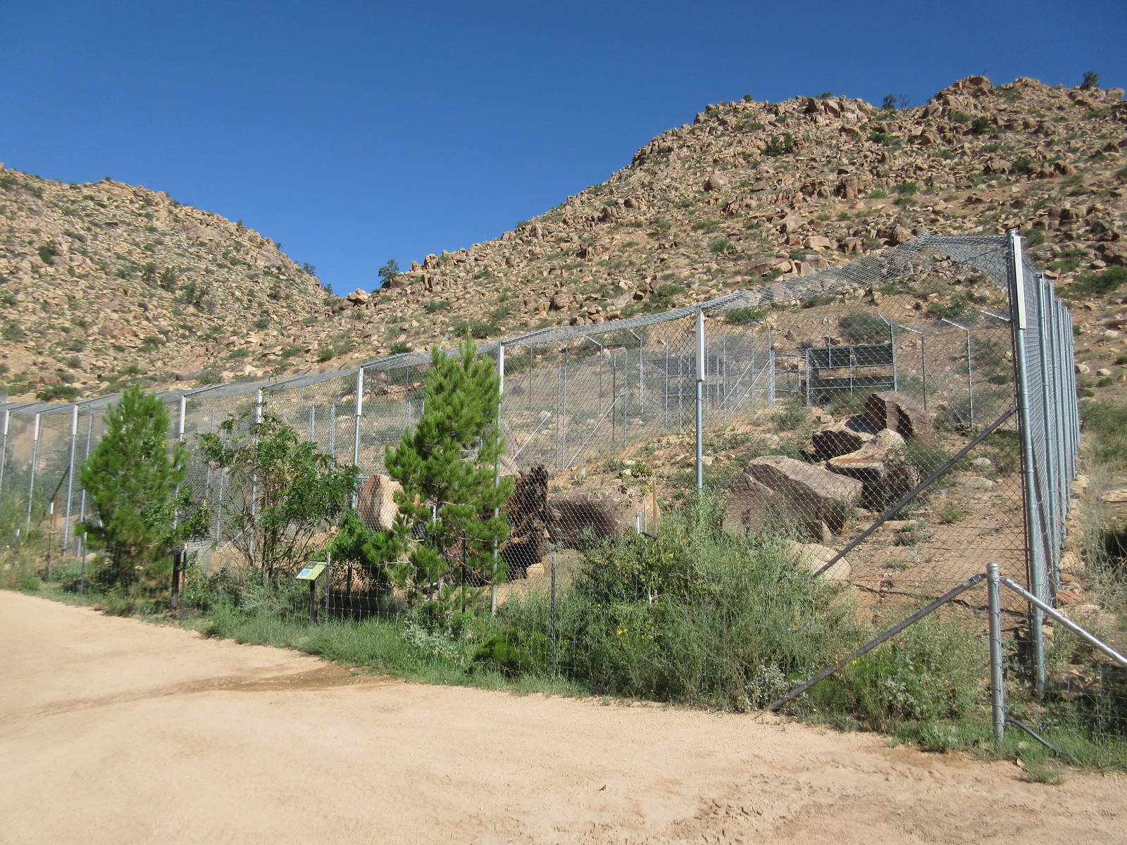 Bengal Tiger Exhibit